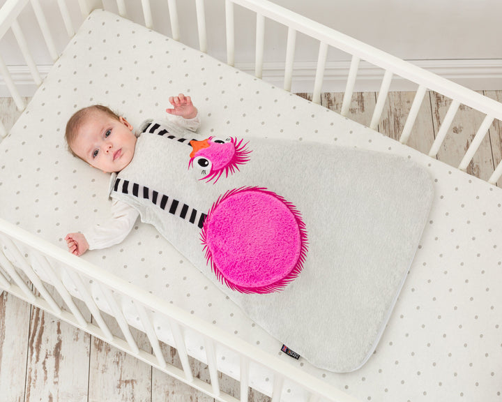 Baby Sleeping Bag 2.5